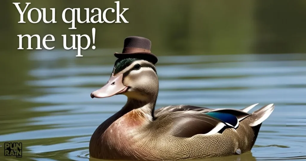 Duck Puns One Liners