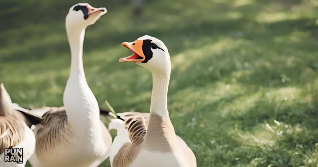 Funny Goose Puns