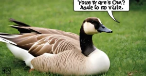 Goose Puns Jokes